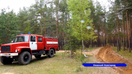 Противопожарные мероприятия проводятся на территории городских лесов Нижнего Новгорода 