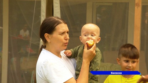 Хозяйство может приносить нижегородцам доход благодаря социальному контракту