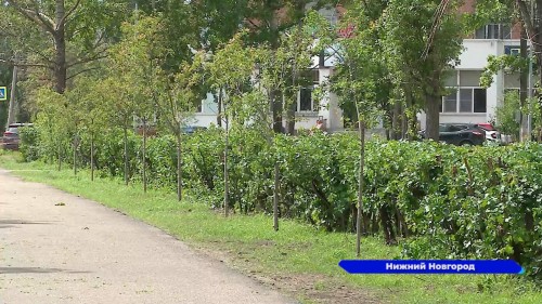 В Нижнем Новгороде завершилось благоустройство сквера на улице Сергея Акимова