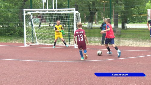 В Сокольском построили новую спортплощадку