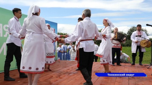 Фестиваль «Россыпь талантов» проходит в Тонкинском районе