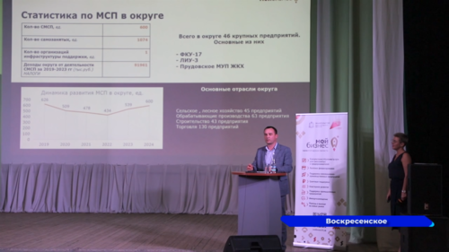 В рабочем посёлке Воскресенское состоялась конференция «Мой бизнес 360»