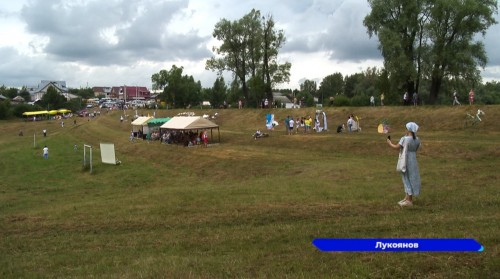 Фестиваль «Ромашковый луг» стартовал в Лукоянове