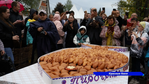 В Краснобаковском округе прошёл всероссийский фестиваль пирогов «Пироград» 