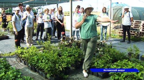 Летняя школа «Погружение в Агротех» открылась в Нижегородской области