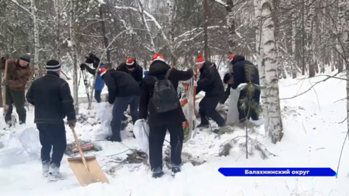 В Балахнинском округе прошла завершающая в этом году акция «Чистый лес»