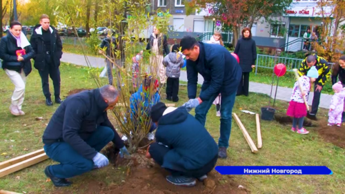 В Ленинском районе многодетные семьи посадили более 20 деревьев