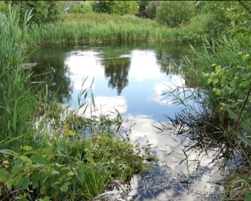 Четыре человека утонули в водоемах Нижегородской области в минувшие выходные