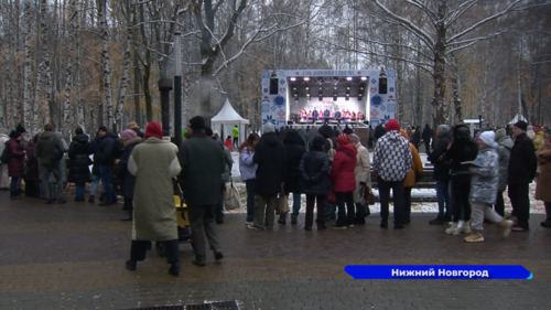 В парке Пушкина прошло празднование Дня народного единства