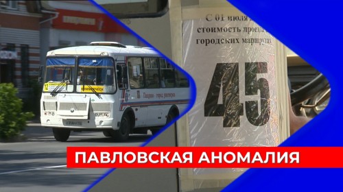 До 45 рублей повышают стоимость проезда в автобусах частные перевозчики в Павлове