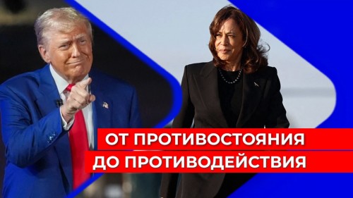 Трамп у нижегородцев втрое популярнее Харрис, но подавляющему большинству американские выборы неинтересны