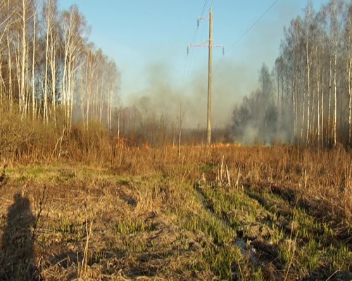 Около 300 человек оштрафованы за возгорание сухой травы в Нижегородской области