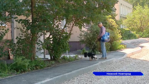 В Приокском районе благоустроят дворы