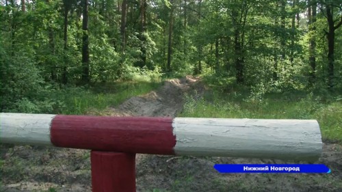 Ежедневно леса Нижнего Новгорода патрулируют оперативные группы