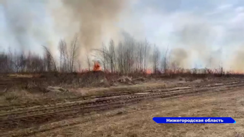 Пожароопасный сезон в Нижегородской области официально завершился