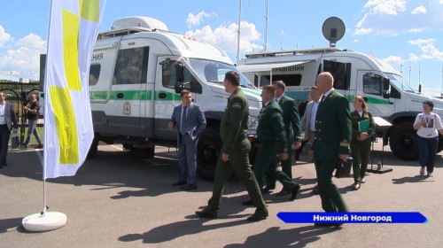 Правовое регулирование лесных отношений на федеральном уровне обсудили в Нижнем Новгороде