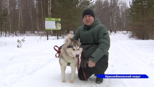 В Краснобаковском округе набирает популярность дог-трекинг