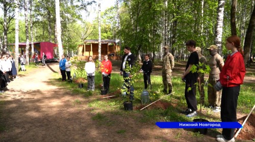 В честь нижегородцев-участников СВО появилась Аллея мужества в парке Пушкина