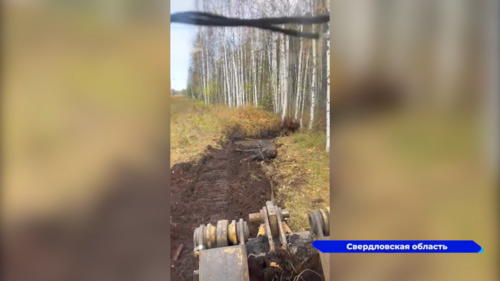 В Свердловской области из грязевой ямы вытащили лося 