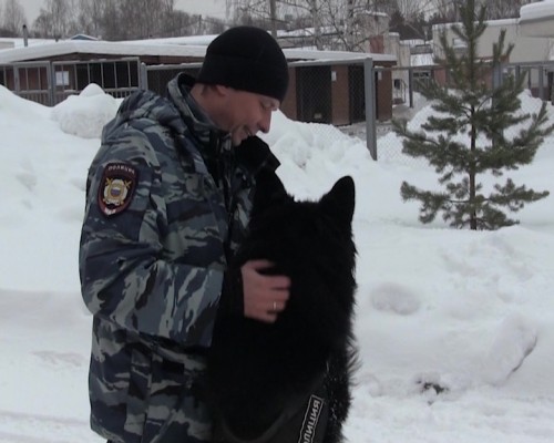 Более 500 преступлений раскрыто нижегородскими кинологами в 2018 году